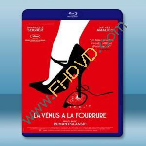  情慾維納斯 Venus in Fur (2013) 藍光25G