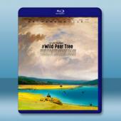  野梨樹 The Wild Pear Tree (2018) 藍光25G