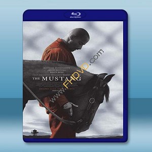 野馬 The Mustang (2019) 藍光25G