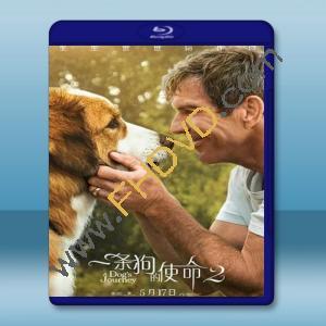  狗狗的旅程 A Dog’s Journey (2019) 藍光25G