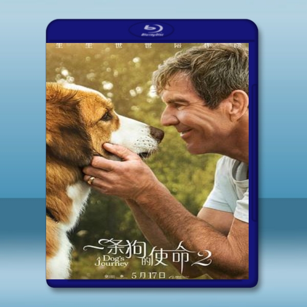  狗狗的旅程 A Dog’s Journey (2019) 藍光25G