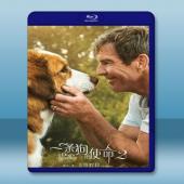  狗狗的旅程 A Dog’s Journey (2019) 藍光25G