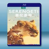 塞倫蓋蒂 Serengeti (2碟) 【2019】 藍...