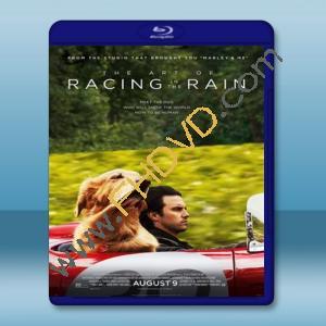  我在雨中等你 The Art of Racing in the Rain (2019) 藍光25G