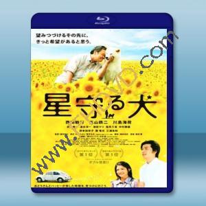  星守之犬 <日> 【2011】 藍光25G