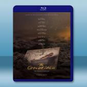 金翅雀 The Goldfinch (2019) 藍光2...