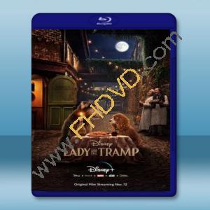  小姐與流氓 Lady and the Tramp (2019) 藍光25G