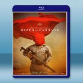 毒梟幻影 Birds of Passage (2018)...