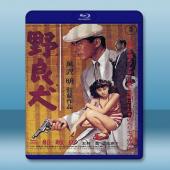 野良犬 <日> 【1949】 藍光25G
