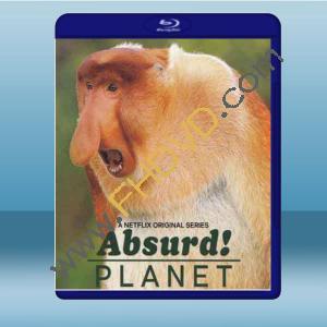  怪誕星球 Absurd! Planet (2020) 藍光25G