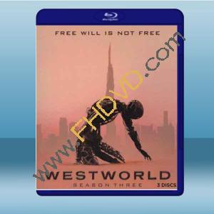  西方極樂園 Westworld 第3季 【3碟】 藍光25G