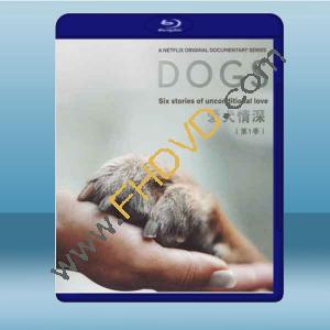  愛犬情深 DOGS 第1季 【1碟】 藍光25G