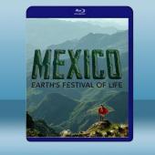 墨西哥：地球生命的狂歡 Mexico: Earth's ...