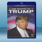  川普是怎樣煉成的 The Making of Trump (2015) 藍光影片25G