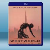 西方極樂園 Westworld 第3季 【3碟】 藍光2...