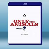 謎夜拼圖 Only The Animals (2019) 藍光25G