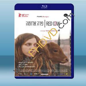  猶愛少女心 Red Cow (2016) 藍光25G