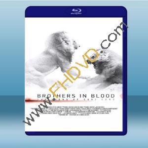  獅王之路 Brothers in Blood: The Lions of Sabi Sand (2015) 藍光25G