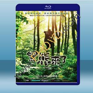  黑熊來了（2019) 藍光25G