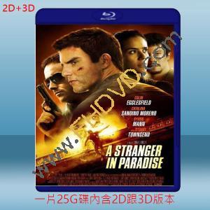  (2D+3D) 天堂陌客 A Stranger in Paradise (2012) 藍光25G