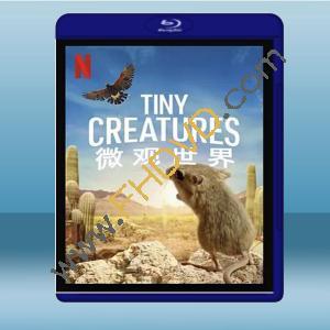  微觀世界 Tiny Creatures (2碟) (2020) 藍光25G