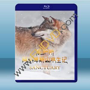  庇護所：阿爾卑斯山求生記 The Sanctuary: Survival Stories of the Alps (2020) 藍光25G