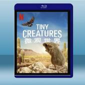 微觀世界 Tiny Creatures (2碟) (20...