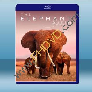  大象女王 The Elephant Queen (2018) 藍光25G