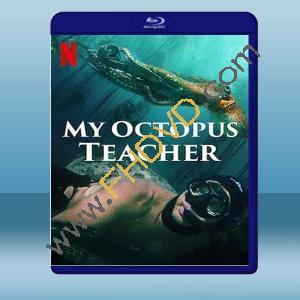  我的章魚老師 My Octopus Teacher (2020) 藍光25G