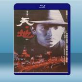  天與地 (劉德華/劉松仁) (1994) 藍光25G