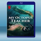 我的章魚老師 My Octopus Teacher (2...