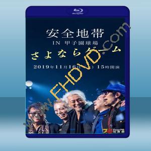  安全地帶2019年阪神甲子園球場演唱會 藍光25G