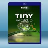  小小世界 Tiny World (1碟) 藍光25G