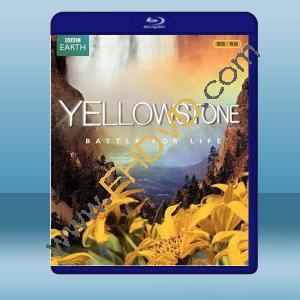  黃石公園 Yellowstone (2009) 藍光25G