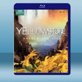 黃石公園 Yellowstone (2009) 藍光25...