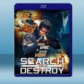 搜索並摧毀 Search and Destroy (20...