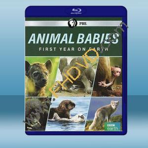  萌寶出生第一年 Animal Babies: First Year on Earth (2019) 藍光25G