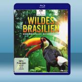 狂野巴西 Wild Brazil (2碟) (2014)...