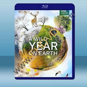  狂野地球 A Wild Year on Earth (2020) 藍光25G