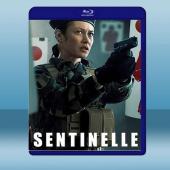 哨兵行動 Sentinelle (2021) 藍光25G