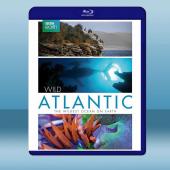 大西洋：地球最狂野的海洋 Atlantic: The W...
