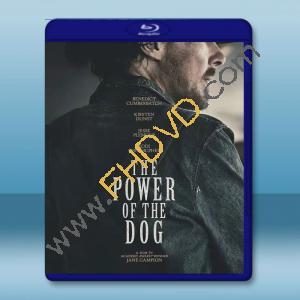 犬山記/犬之力 The Power of the Dog (2021) 藍光25G