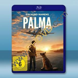 忠犬帕爾瑪 A Dog Named Palma (2021) 藍光25G