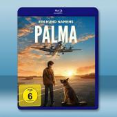 忠犬帕爾瑪 A Dog Named Palma (202...