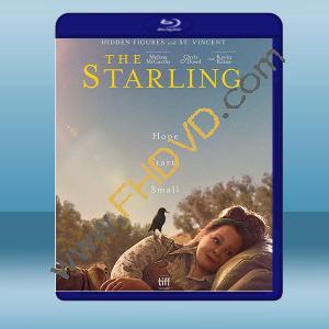  八哥 The Starling (2021) 藍光25G