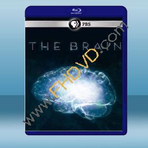  深入大腦 The Brain with David Eagleman (2碟) (2015) 藍光25G