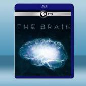 深入大腦 The Brain with David Ea...