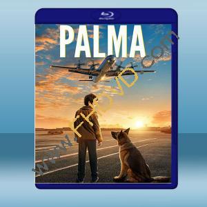  忠犬帕爾瑪 Palma (2021) 藍光25G