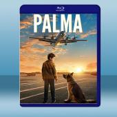  忠犬帕爾瑪 Palma (2021) 藍光25G