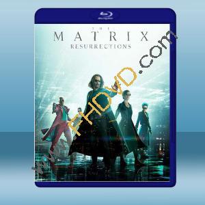  駭客任務：復活 The Matrix Resurrections (2021)